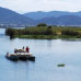 第43回　湖国の原風景権座（ごんざ）水郷を守り育てる活動（日本の里百選）選定地域